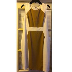 Calvin Klein Dress